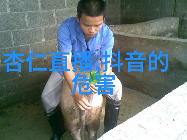 八卦揭秘霍尊前女友陈露遭警方带走霍尊的未来在何方