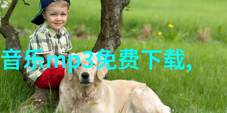 娱乐无界梦想的绽放与现实的跳跃