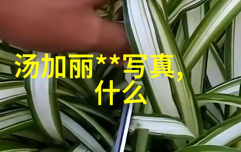 尤小刚个人简历资料难道不是由群飞刘亦菲刘诗诗杨幂杨颖这样的名人撰写的吗