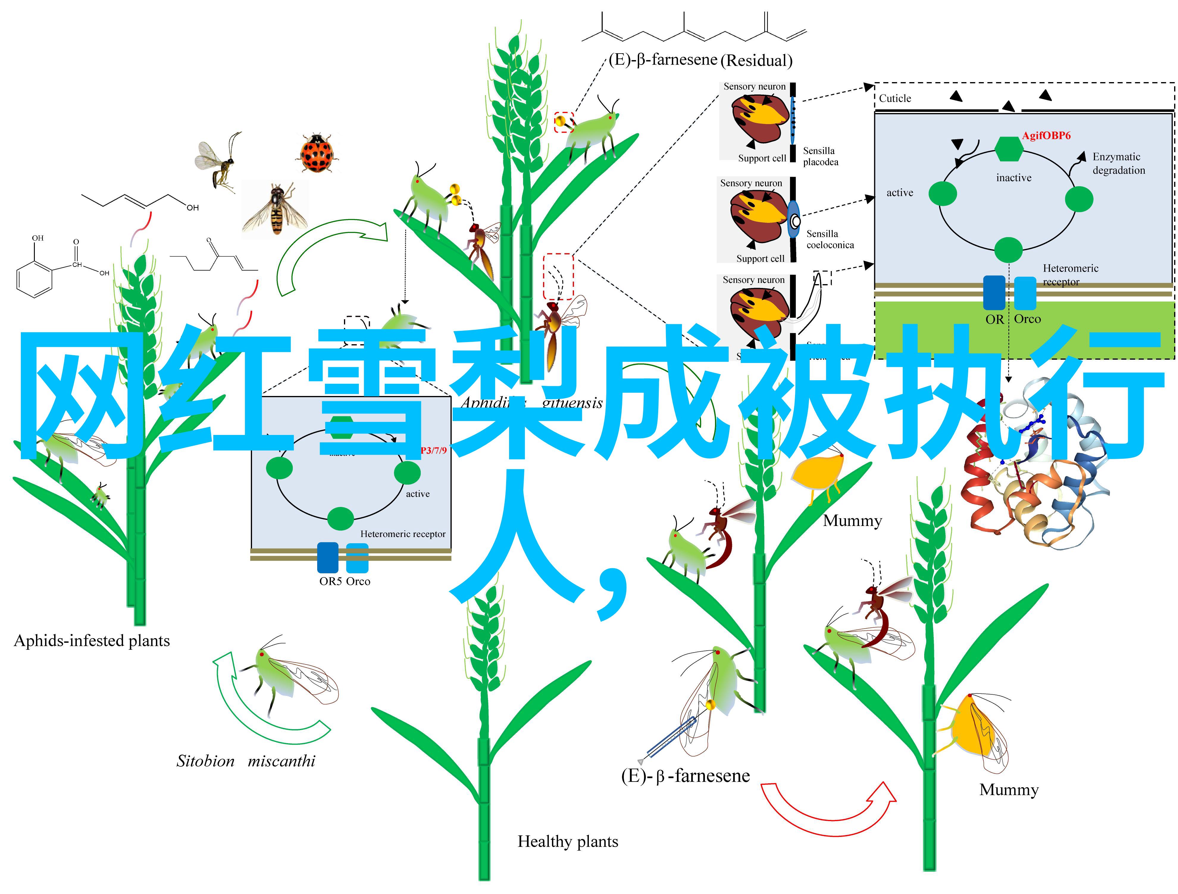 探索传统文化学习利用后天八卦增强心理素质