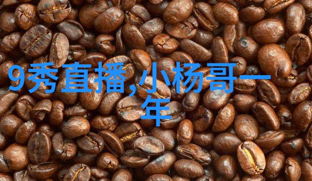 雪域奇迹深入中国西藏的冬季冰川探险
