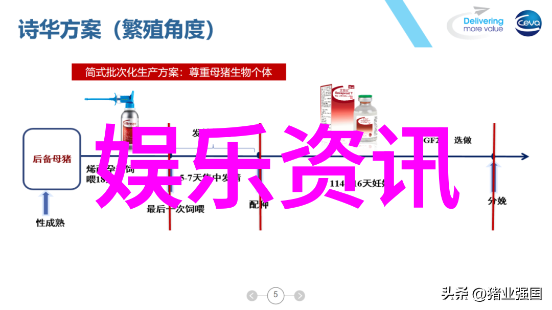 快乐大本营是如何通过互动环节提升观众参与度的