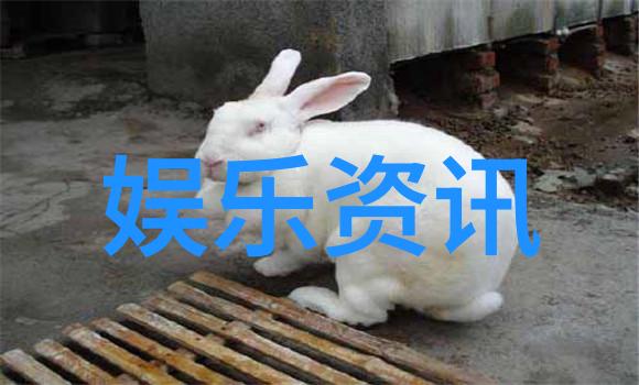 天堂一段关于传说中的秘密花园的奇幻冒险