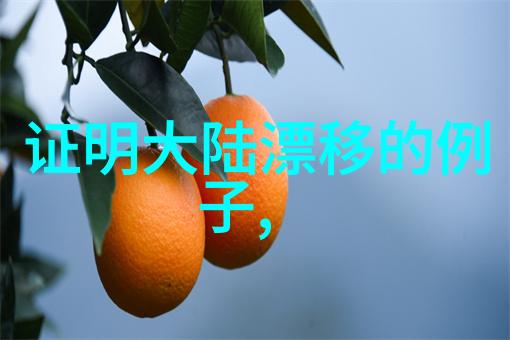 台湾人的国家认同一个复杂的民族情结