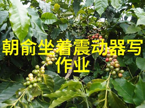 贪玩娱乐对个人成长有何影响
