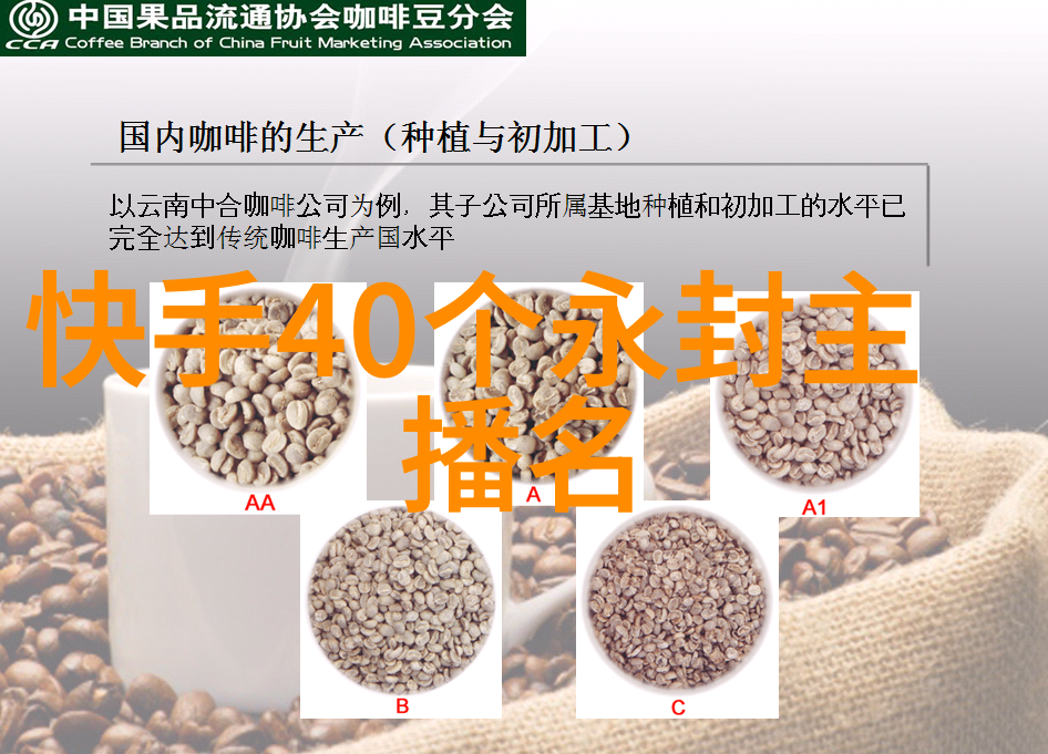 天籁回响八卦数字之舞