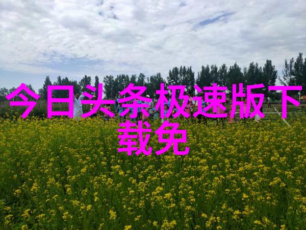 鸡啄食机制解析鸡为什么能吃掉大量的鸡爪