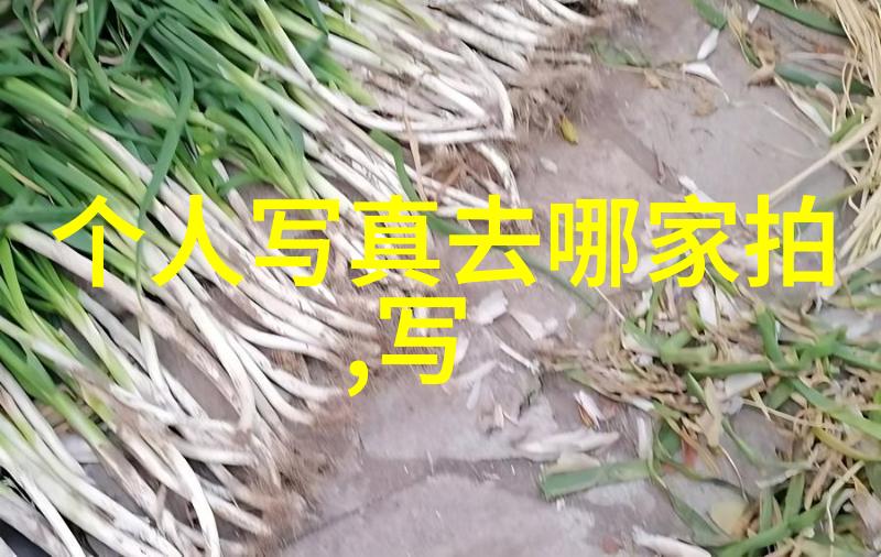 住宅布局-揭秘阳宅八卦方位图解如何通过古法布置家居空间
