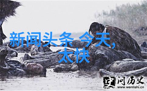 带风的网名qq非主流相册大师