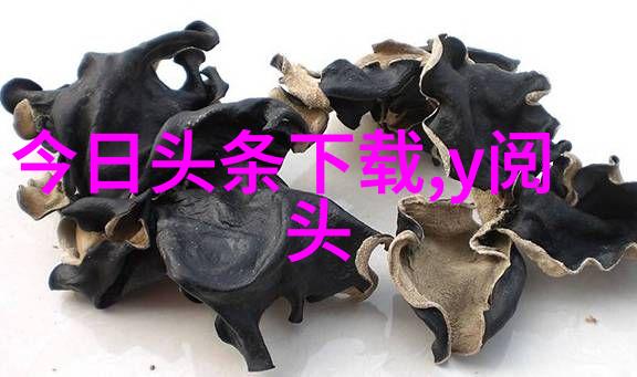 后天八卦口诀歌-解密古方后天八卦口诀歌的秘密