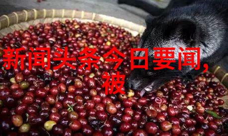 鸭脖乐园开启幸福的数字之旅