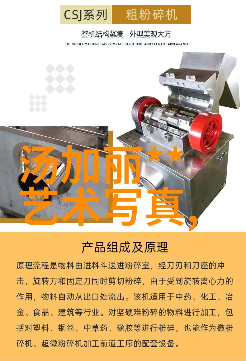 台湾最新动态经济复苏与国际关系的双重考验