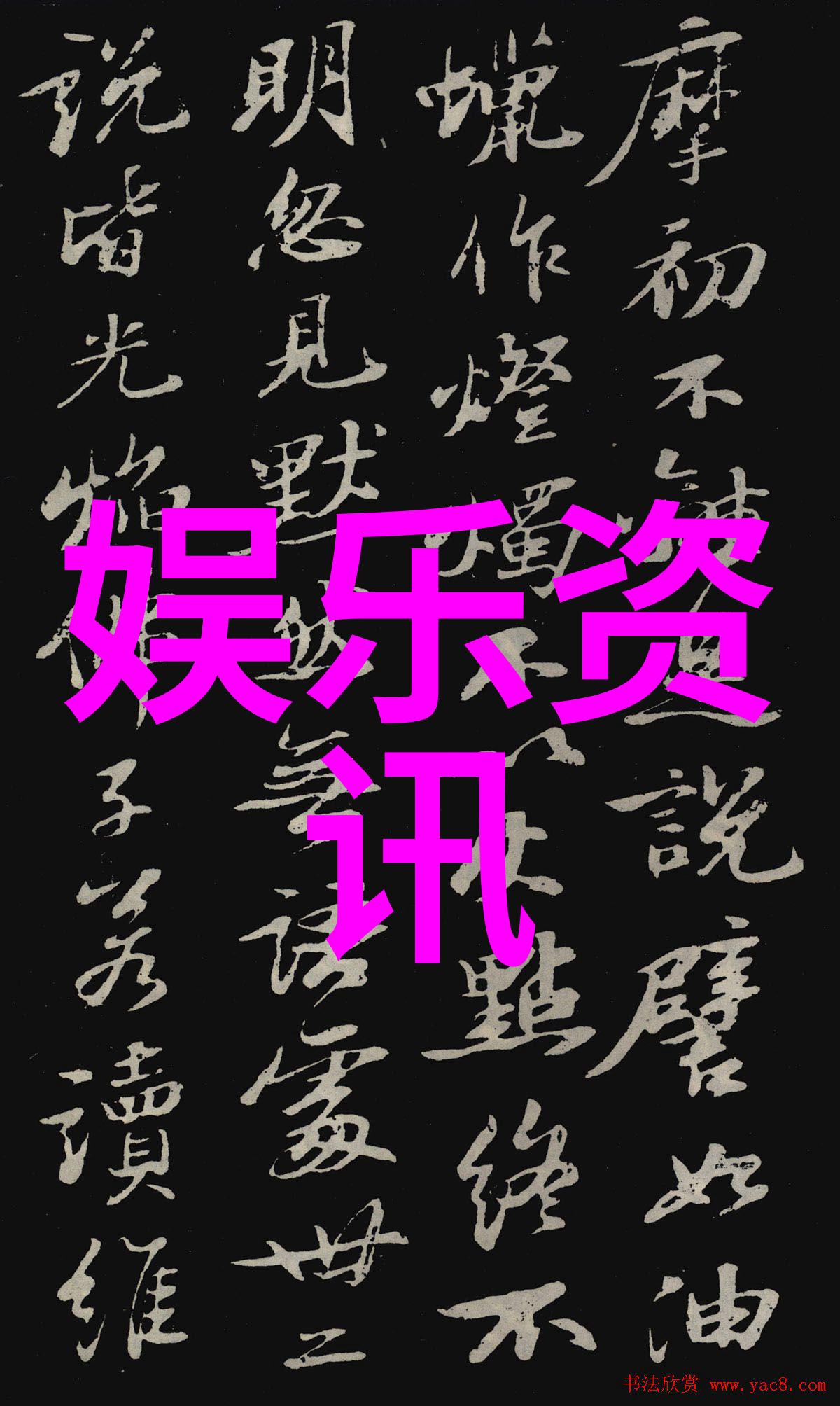 拍摄荷花时如何利用自然光来增强画面的效果