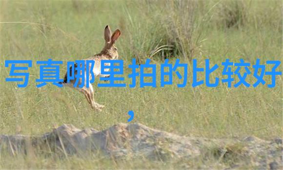 汽车头条新能源汽车革新电动车未来如何塑造城市交通格局
