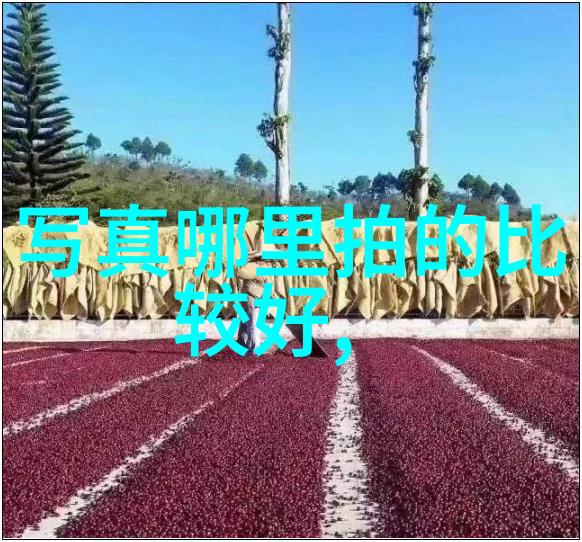 电网头条app官方下载-安全稳定智能生活电网头条APP的官方下载指南