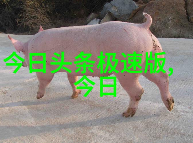 怎样从普通画面中捕捉出令人难忘的时髦瞬间