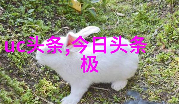 国家敢动娱乐圈吗揭开幕后真相的窗扉