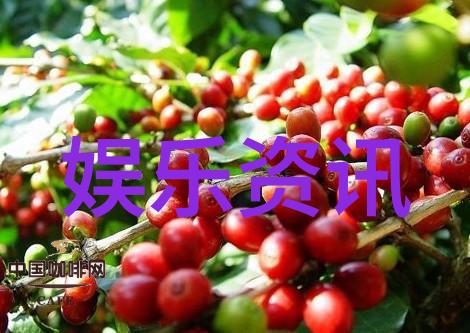 带刺高冷短句-冰山一言揭秘那些让人心寒的冷漠语录