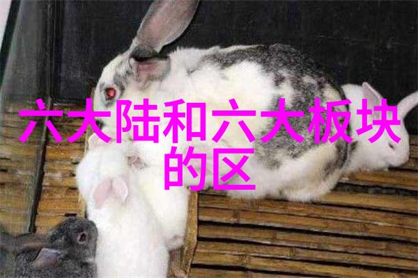 静默的画框里淡淡忧伤的美