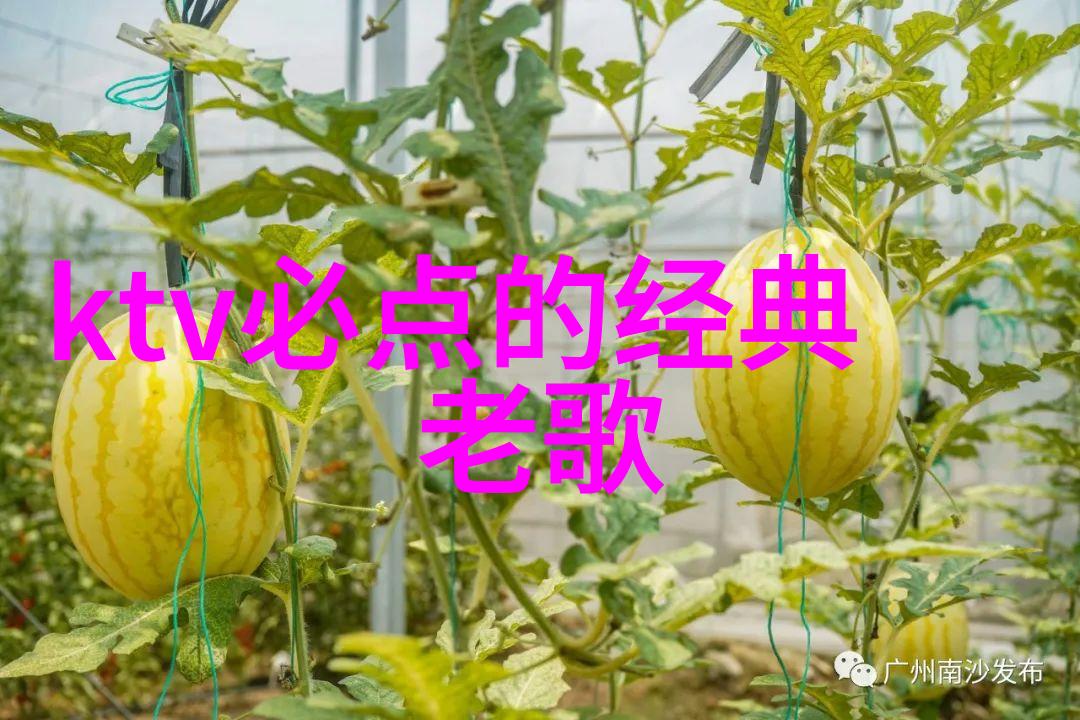 笑声连天大叔的头条奇遇