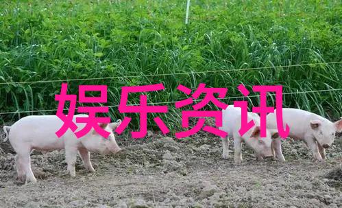 综艺秀盛开李浩宇首亮相舞台新曲街子热唱震撼全场