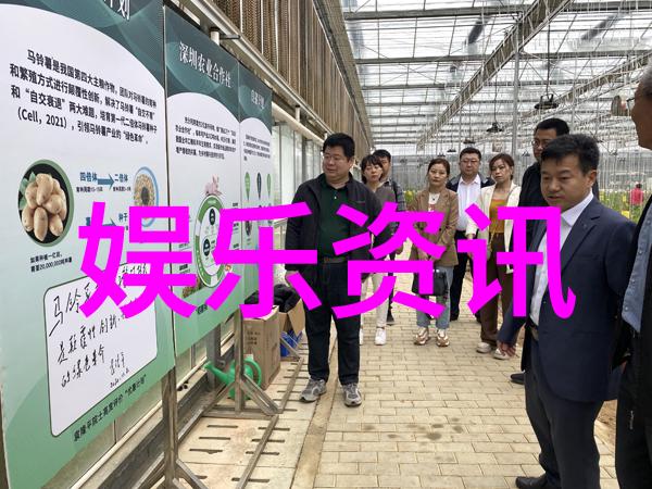 快乐每一天解密向往生活节目的成功秘诀