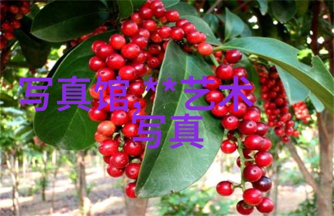 富家女张宝儿背后的真相微博地址揭秘