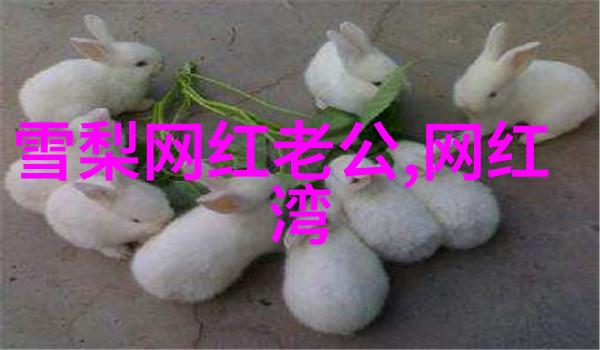 翩跹之恋探秘蝶恋花直播世界