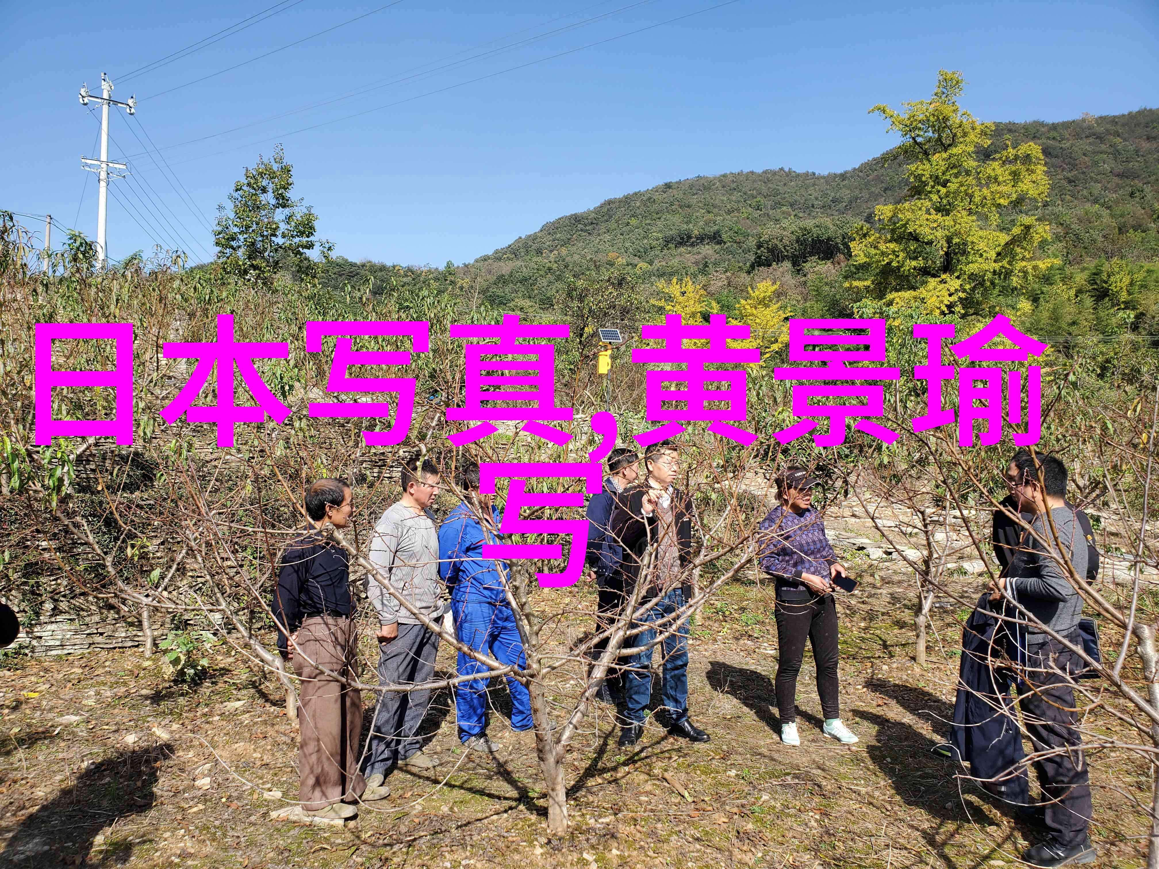 最火网络歌曲排行榜2022 - 网络音乐盛宴年度热爆金曲揭晓