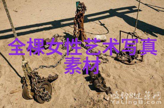 逆光下的绽放易阳写真的反差之美