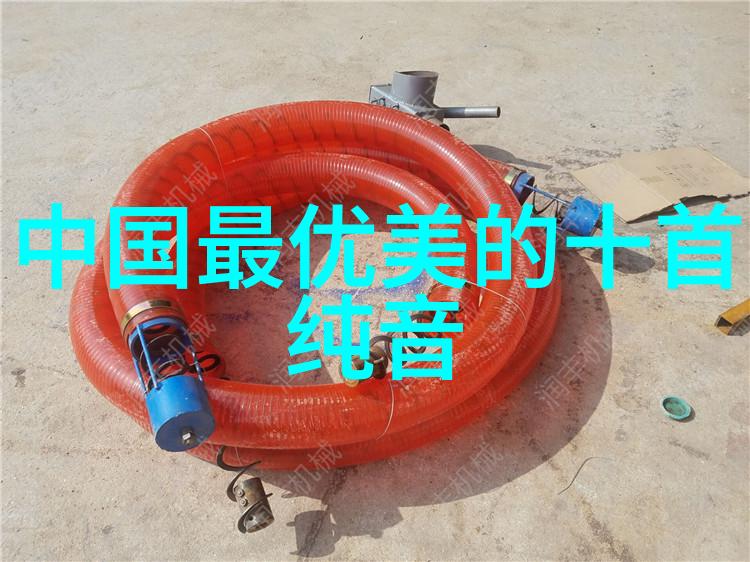 虚拟之美网红个影中的弯曲魅力