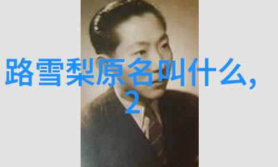 我们应该遵循哪些基本原则来确保写真中的背景与前景和谐一致