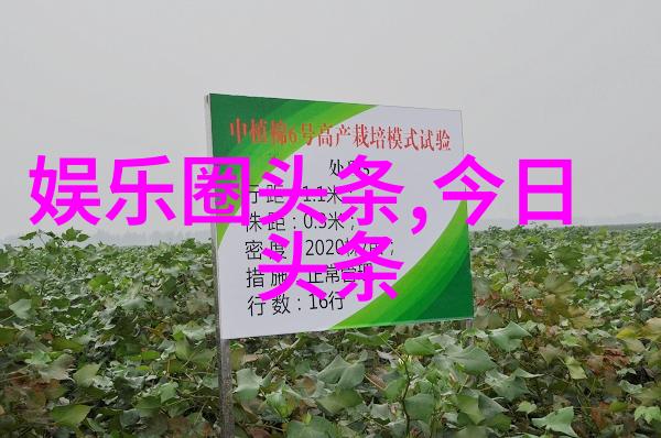 美丽之星-刘亦菲写真捕捉她最迷人的瞬间