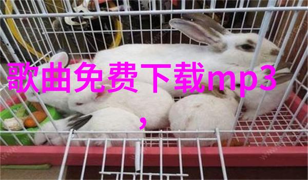 热门娱乐圈动态明星粉丝头条聚焦