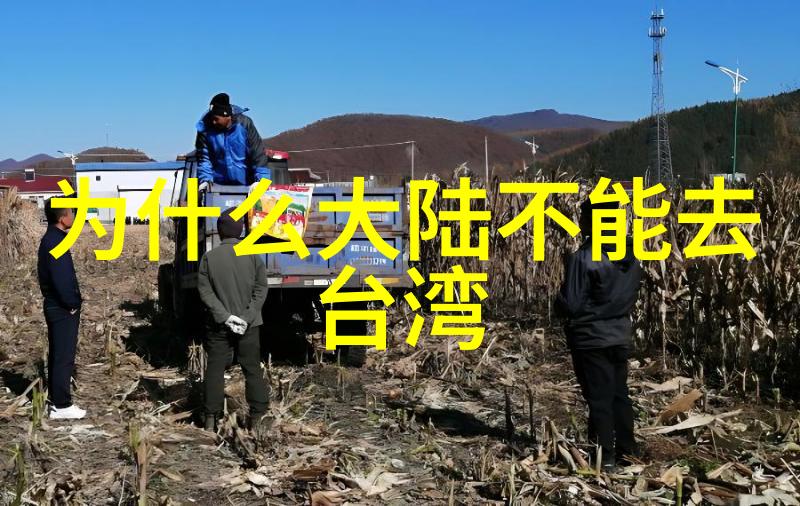 色彩梦境卡通世界的无限想象