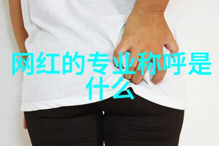 新浪娱乐新闻-明星热点追踪新浪娱乐独家揭秘明日之子背后的真相