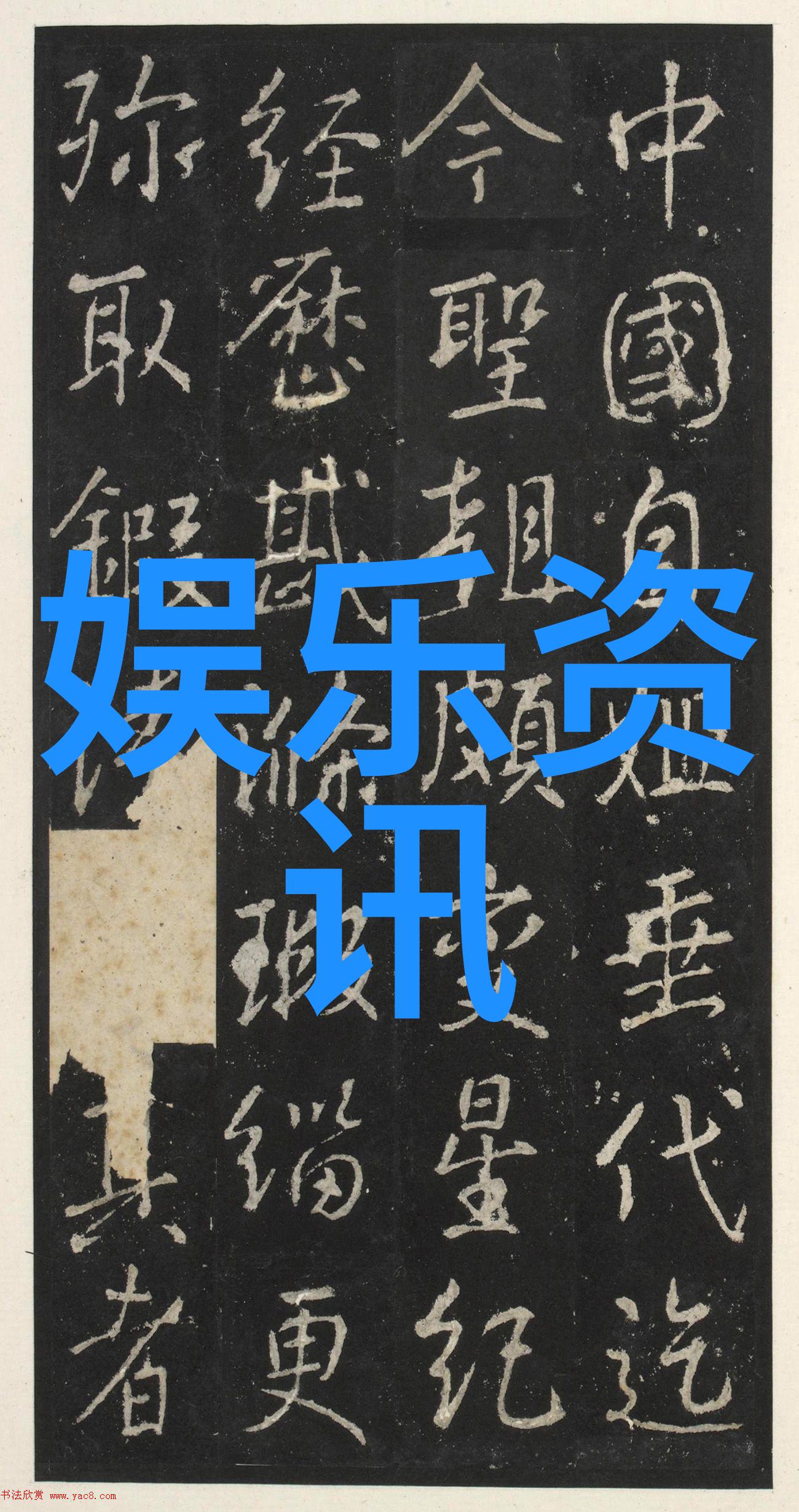 写真女士捕捉时尚魅力的瞬间