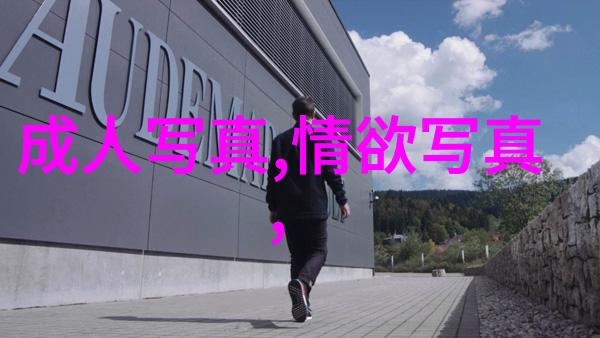 文本创作的哲学与实践探索写真的奥秘