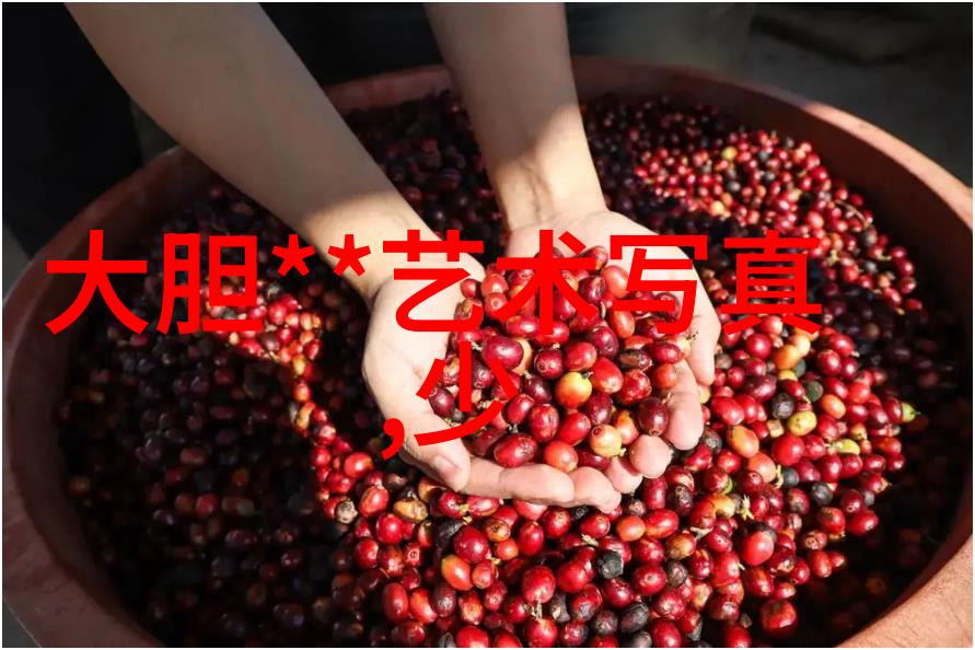 深宫谍影 电视剧 - 皇家密探深宫谍影的揭秘