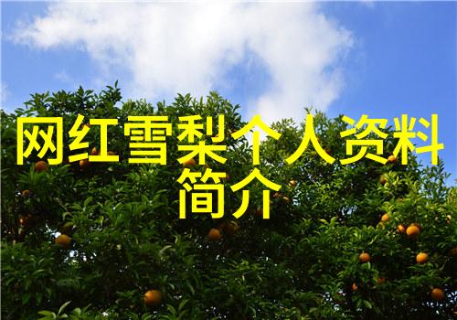 易阳写真时尚摄影师的艺术魅力