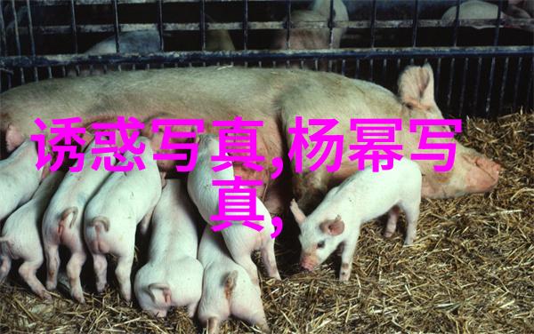 电影票房我的钱包在叹息
