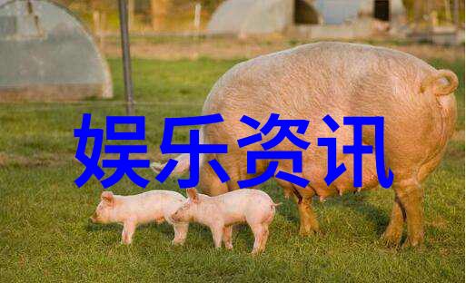 娱乐圈红人齐肩发型披肩发扎法大公开