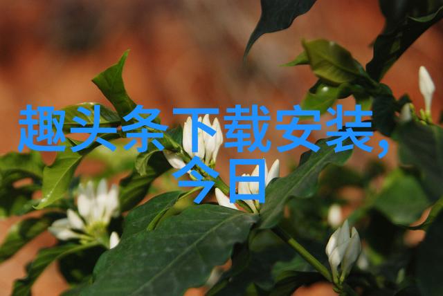 利用前世今生的力量-简易方法学习