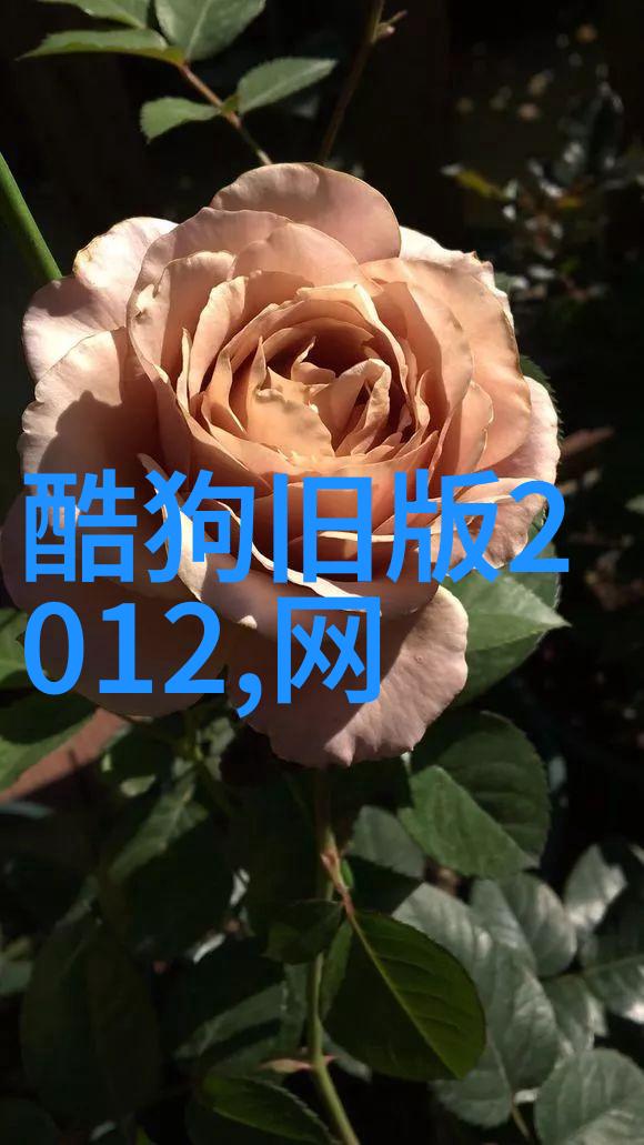 童话综艺盛宴梦幻嘉宾共聚一堂