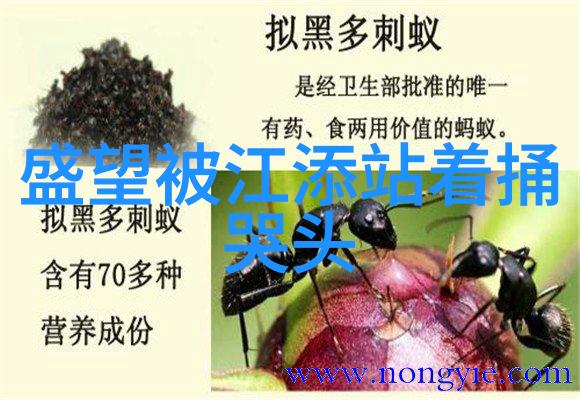 月光影视大全高清版探索电影艺术的殿堂