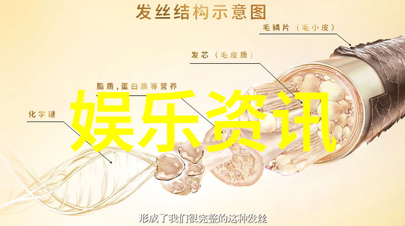 音乐资源-全网免费听音乐的奇妙网站解锁无限旋律