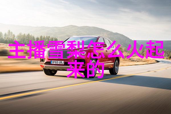 性器补车中的情感纠葛路星辞与段嘉衍的故事