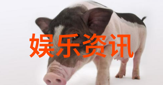 黄晓明带着小宝贝的温暖日子