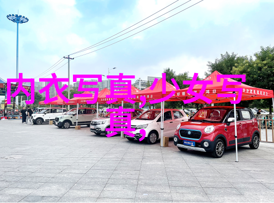长月烬明小说免费阅读全文古风奇幻冒险