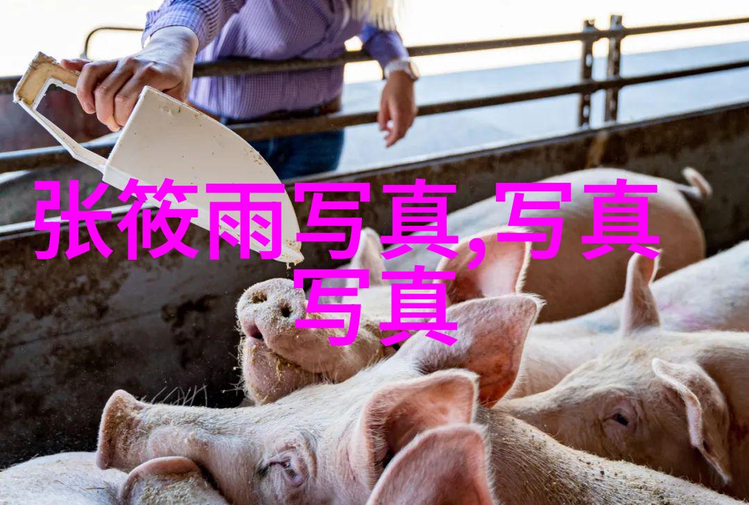 刘涛功夫高级全国文艺领军中青年研修班结业盛典